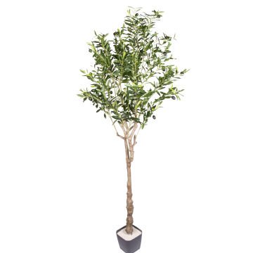 Yapay Zeytin Ağacı 1122 Yaprak Yeşil 180 Cm.