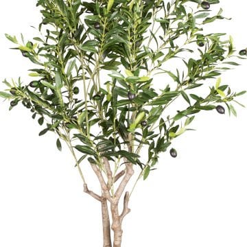 Yapay Zeytin Ağacı 1122 Yaprak Yeşil 180 Cm.