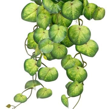 Yapay Bitki Salon Sarmaşığı Peperomia Yeşil 65 Cm.