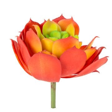 Yapay Eçeverya Sukulent Kaktüs Kırmızı 14 Cm.