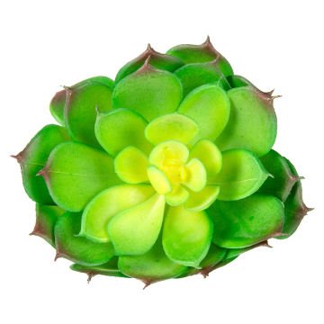 Yapay Eçeverya Sukulent Kaktüs Yeşil 14 Cm.