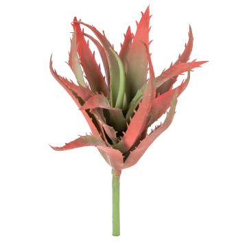 Yapay Eçeverya Sukulent Kaktüs Bordo 19 Cm.