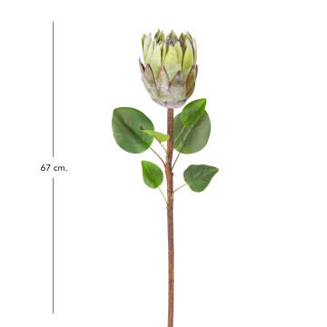 Yapay Protea Bitkisi Yeşil 67 Cm.