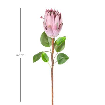 Yapay Protea Bitkisi Mor 67 Cm.
