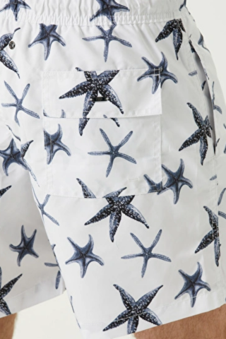 ICE STAR