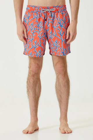 REEF