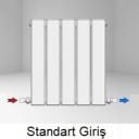 Standart Giriş
