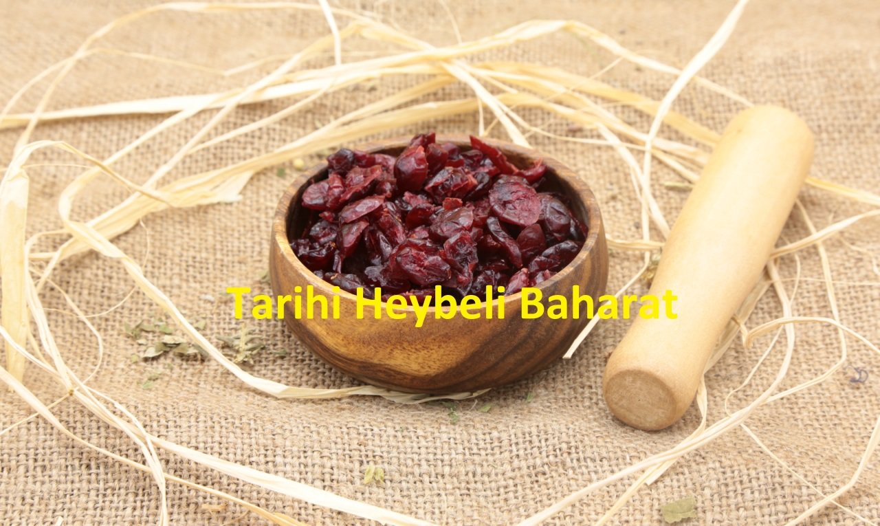 İthal Yaban Mersini Kurusu - Cranberry