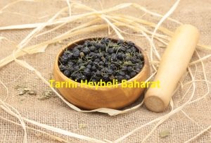 Acı Çehre - Ak Diken Tohumu