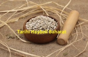 Çiğ Kavrulmamış Ay Çekirdeği İçi