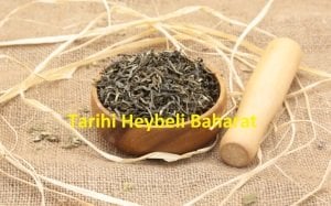 Beyaz Çay - White Tea
