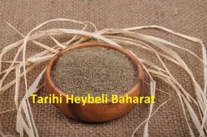 Hiltan Tohumu
