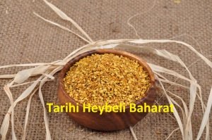 İthal Saf Polen - Arı Poleni