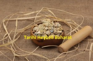 Çam Sakızı