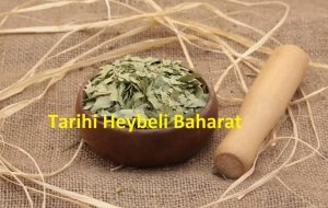 Çınar Yaprağı - Kons (Parçalanmış)