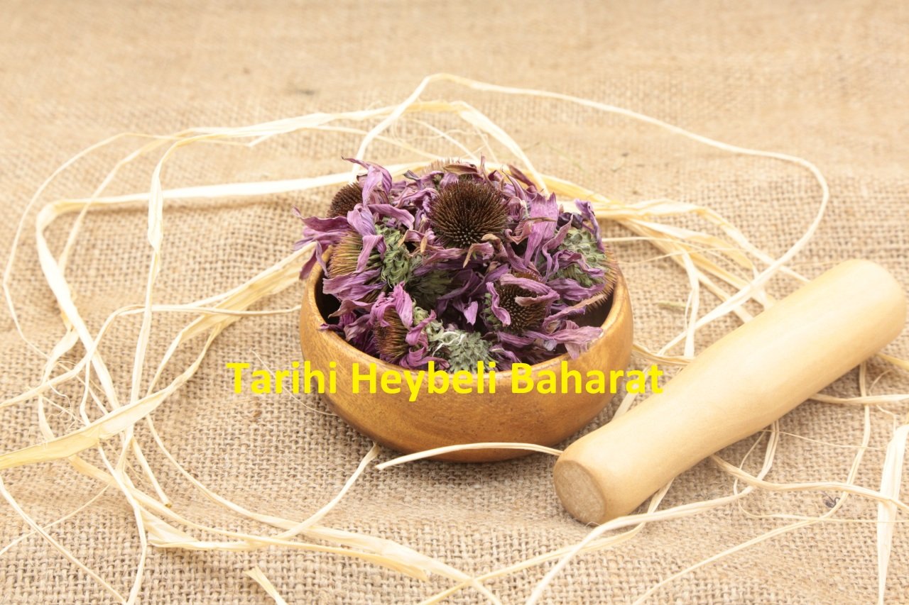 Ekinezya Çiçek