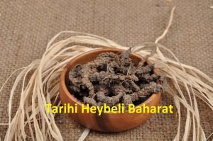 Kedi Otu Kökü