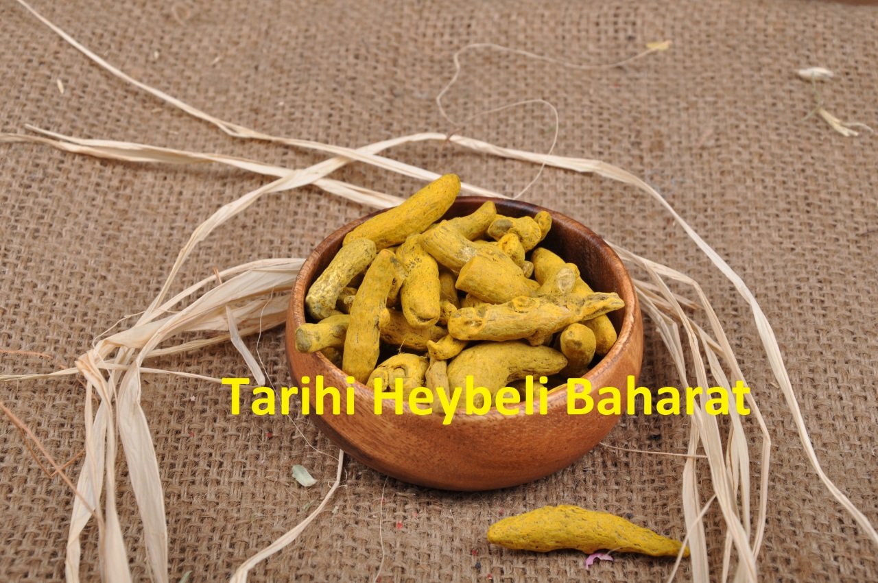 Tane - Kök Zerdeçal