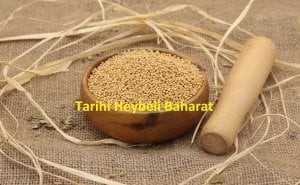 Sarı Hardal Tohumu