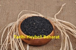 Pırasa Tohumu