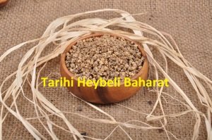Pazı Tohumu