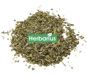Herbarius Sinirli Ot - Damar Otu - Damarlı Ot 100 gr (Plantain Leaves)