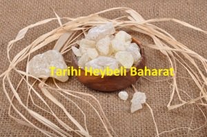 Sandaloz Sakızı - Sandaloz Sandaroz