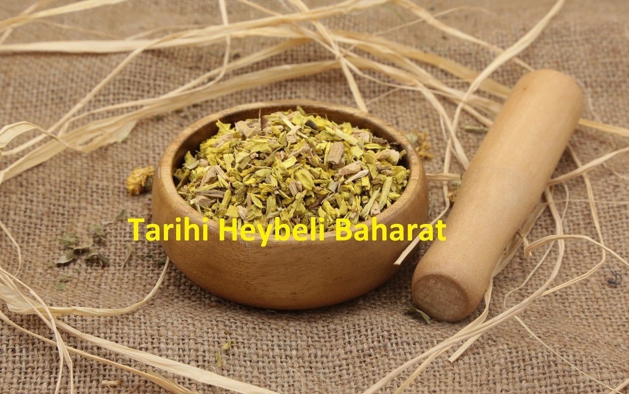 Kadın Tuzluğu - Berberis Vulgaris