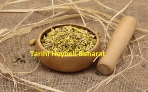 Kadın Tuzluğu - Berberis Vulgaris