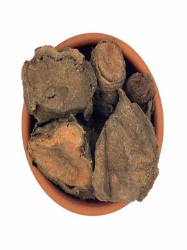 Işkın Otu Kökü (Işgın - Içkın Kökü)