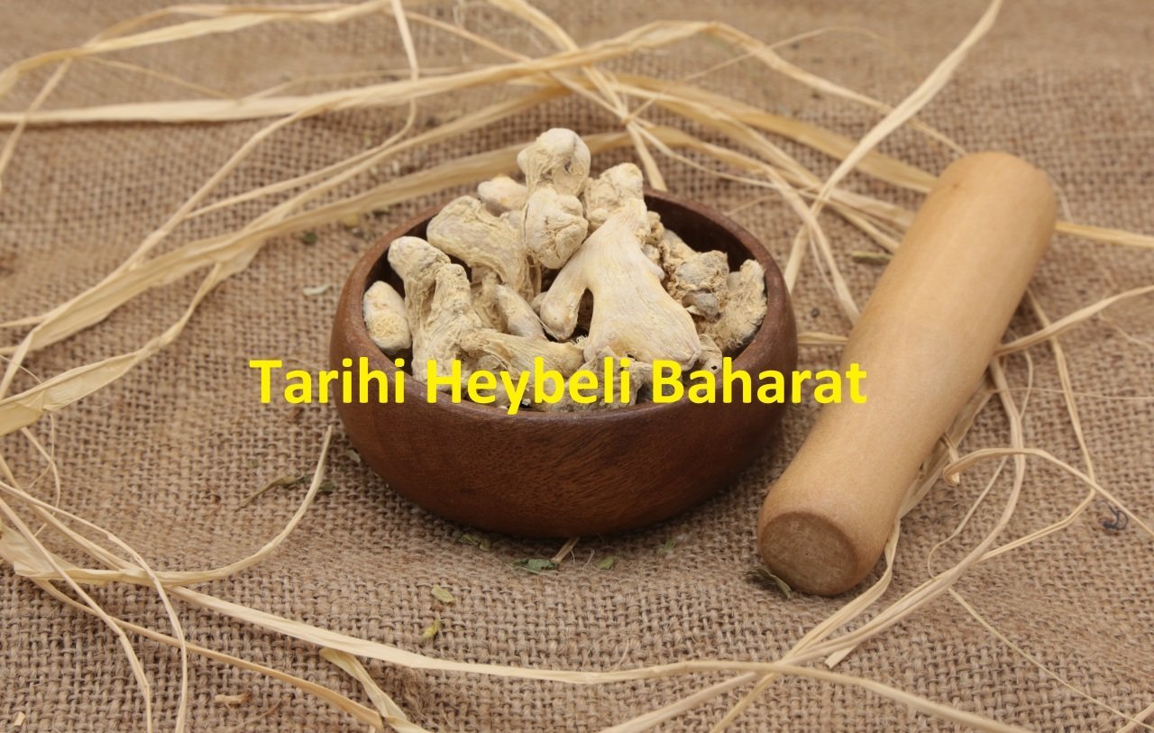 Kök Zencefil - Tane Zencefil - Kuru Zencefil