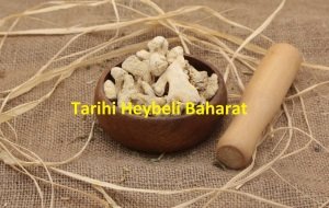Kök Zencefil - Tane Zencefil - Kuru Zencefil