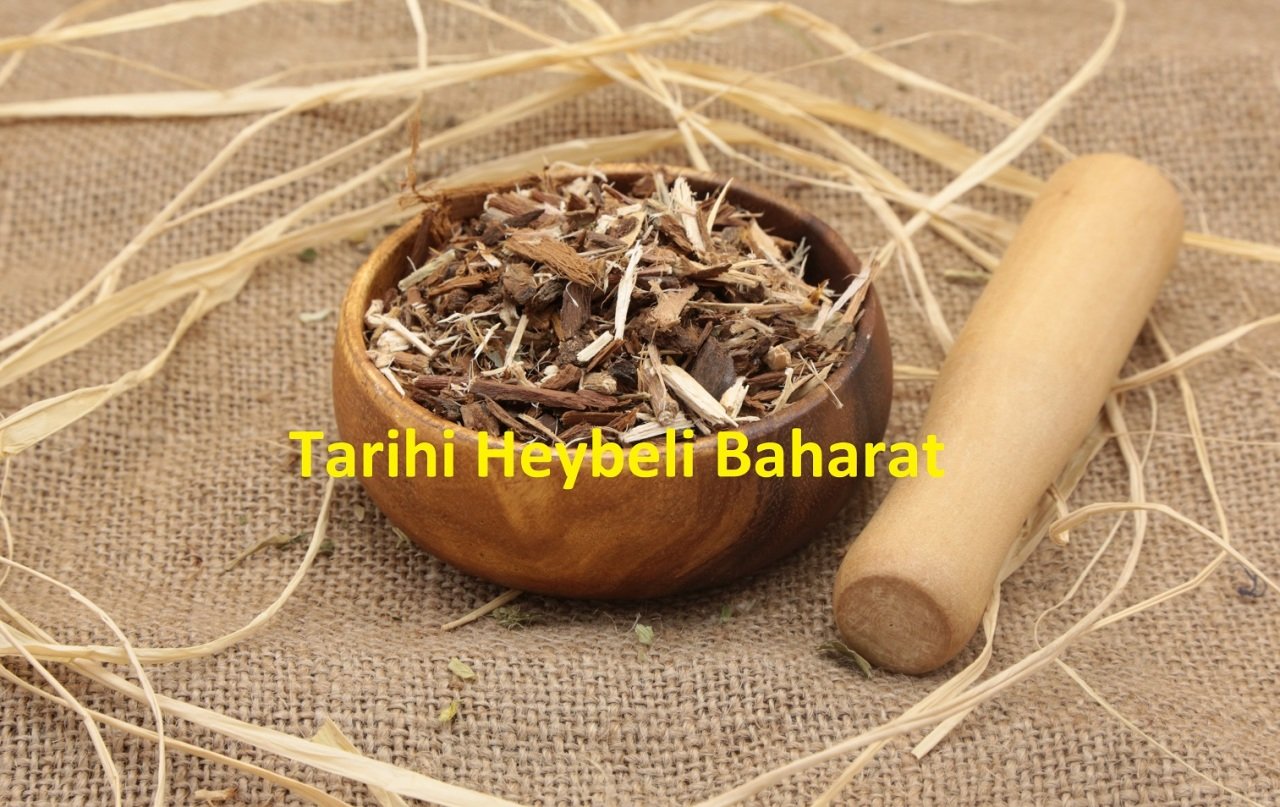 Söğüt Kabuğu