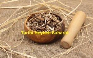 Söğüt Kabuğu