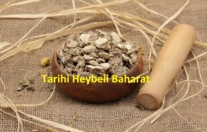 Şakayık Kökü