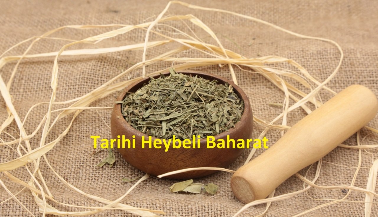 Tarhun