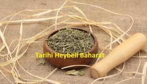 Tarhun
