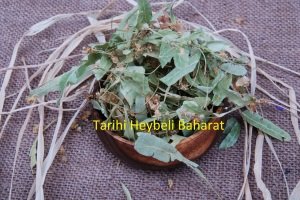 Yaprak Ihlamur