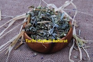 Karakafes Otu - Kara Kafes Otu