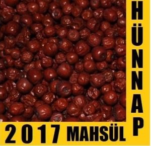 Hünnap - Kuru Hünnap Meyvesi Küçük