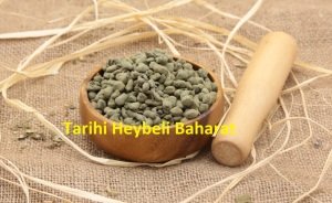 Ginseng Ooolong Çayı (Lan Gui Ren)