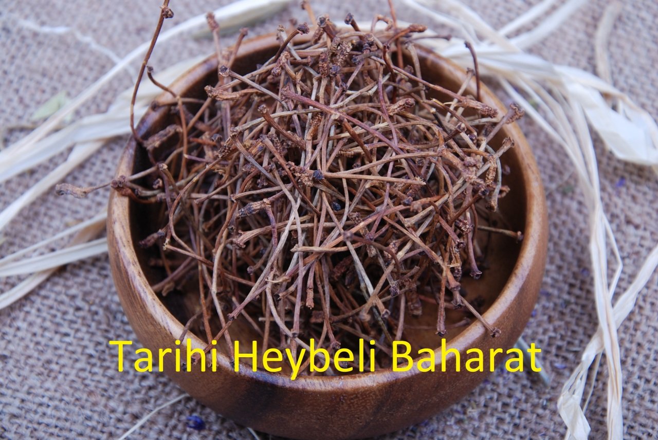 Kiraz Sapı