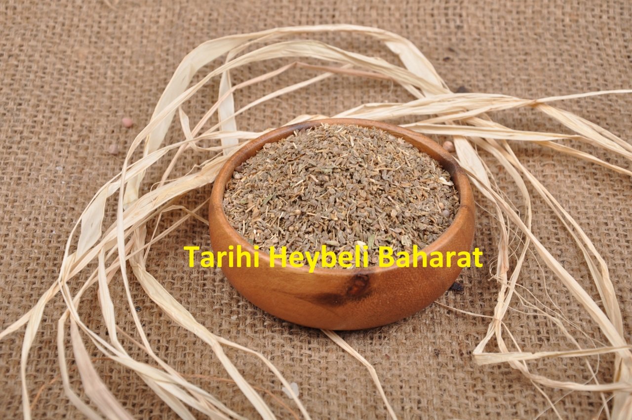 Havuç Tohumu
