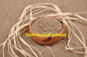 Havuç Tohumu