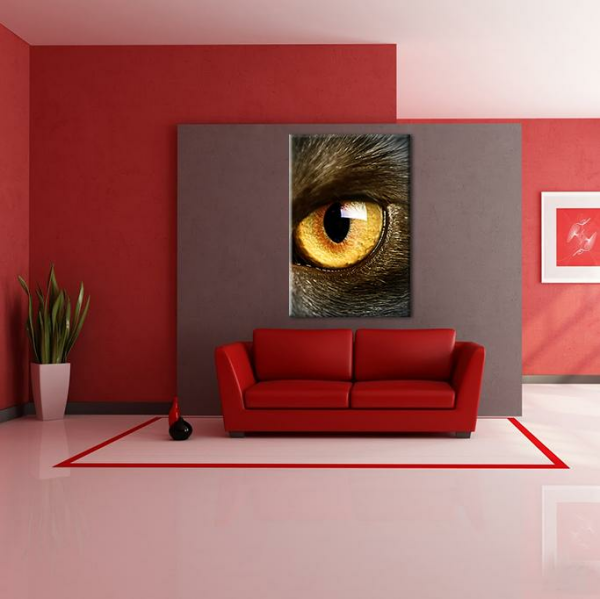 Tek Göz Kanvas Tablo