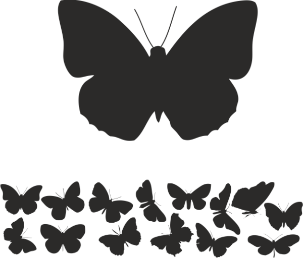 KELEBEK FOLYO STİCKER