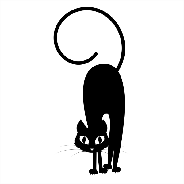 KEDİ FOLYO STİCKER