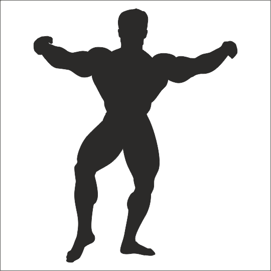 BODY GYM FOLYO STİCKER