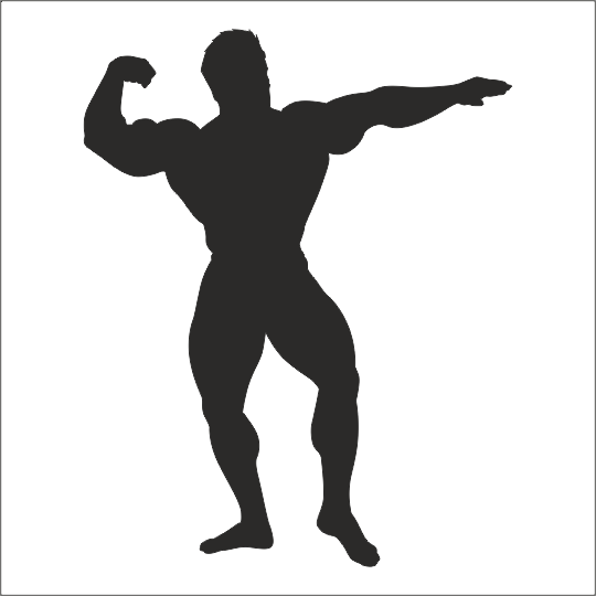 BODY GYM FOLYO STİCKER