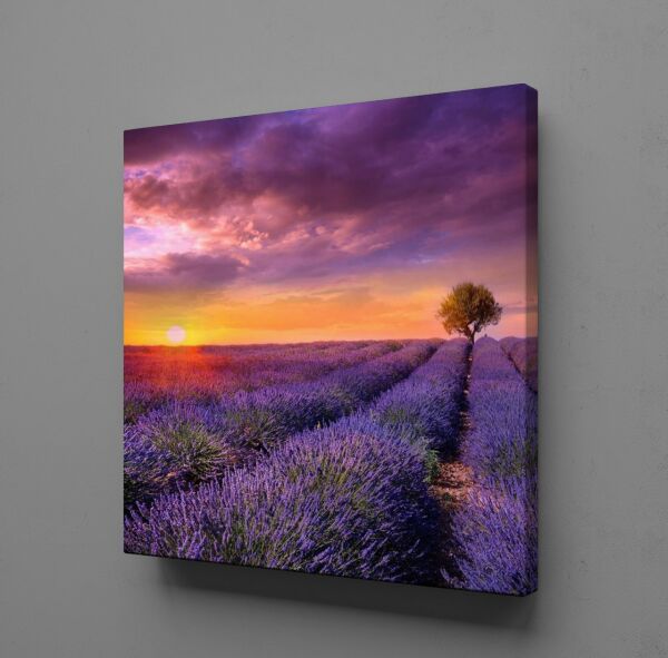 SÜMBÜL TARLASI KANVAS TABLO